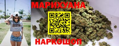 крисы Новодвинск