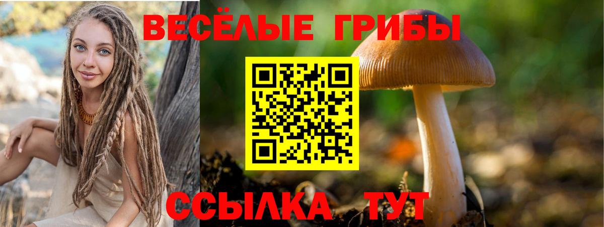 Галлюциногенные грибы прущие грибы Хасавюрт