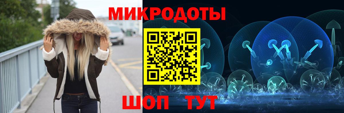 где можно купить наркотик  Вход с VPN  Хасавюрт  Галлюциногенные грибы Cubensis 